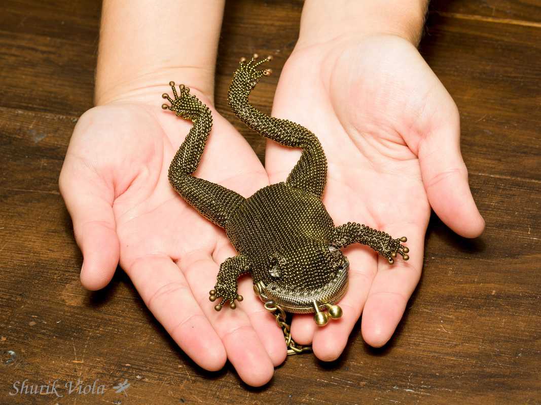 Small purse frog / Porte monnaie grenouille - Shurik Viola